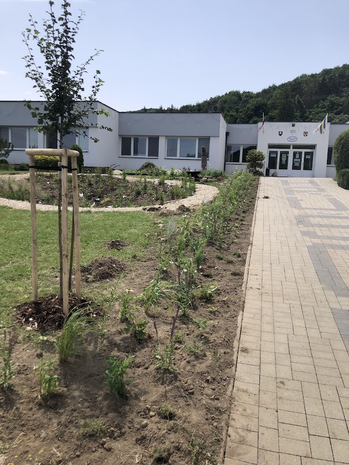 Hydroosev a spevňovanie svahu